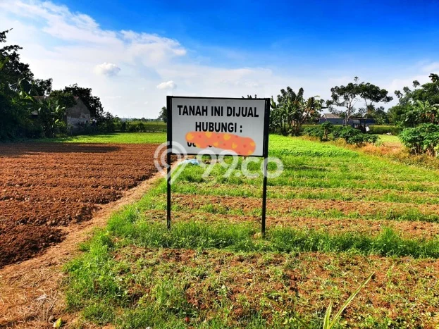 Lahan Dijual Lokasi Babelan, Bekasi dengan Luas Tanah 2478m2 dan Status SHM Lahan Dijual Lokasi Babelan, Bekasi dengan Luas Tanah 2478m2 dan Status SHM