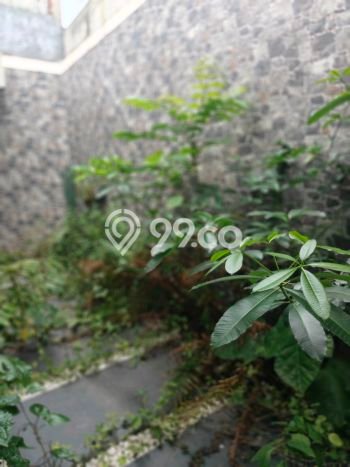 For Sale Rumah 2 Kamar Lokasi Ideal Bagus dan Strategis di Padalarang For Sale Rumah 2 Kamar Lokasi Ideal Bagus dan Strategis di Padalarang
