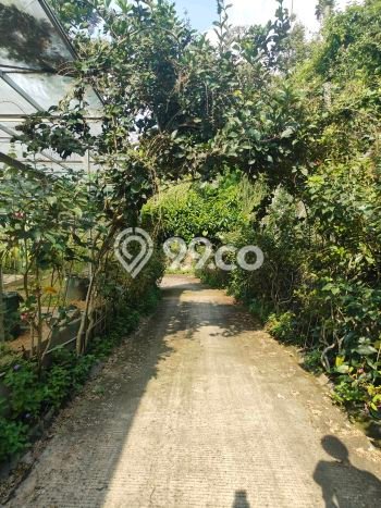 PELUANG INVESTASI! Vila di Cisarua, Luas 5600m2m², Potensi Menjanjikan PELUANG INVESTASI! Vila di Cisarua, Luas 5600m2m², Potensi Menjanjikan