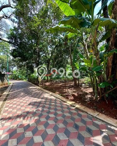 Tanah Dijual Lokasi Strategis di Tangerang dengan Luas 4665m2 Tanah Dijual Lokasi Strategis di Tangerang dengan Luas 4665m2