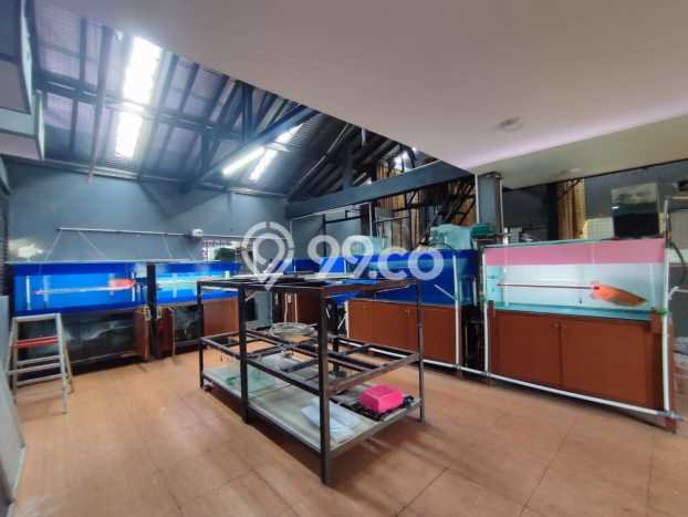 Rumah Elit LB 600m2 Siap Pakai Desain Elegan di Sunter, Jakarta Utara Rumah Elit LB 600m2 Siap Pakai Desain Elegan di Sunter, Jakarta Utara