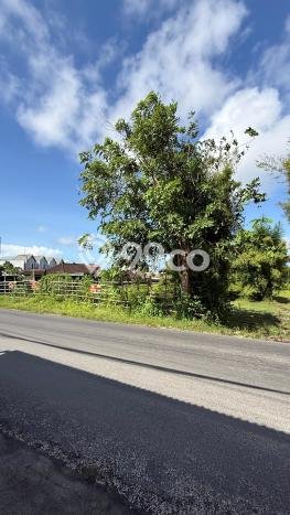 Dijual Tanah di Badung, Luas 365m2 SHM Dijual Tanah di Badung, Luas 365m2 SHM