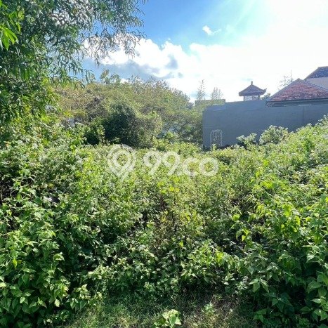 Tanah Kavling Dijual di Badung dengan Spesifikasi 477m2 Tanah Kavling Dijual di Badung dengan Spesifikasi 477m2