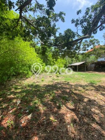 Tanah Kavling Dijual di Badung dengan Spesifikasi 3080m2 Tanah Kavling Dijual di Badung dengan Spesifikasi 3080m2