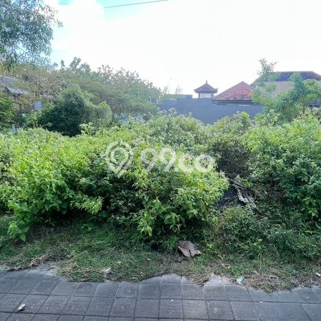 Tanah Kavling Dijual di Badung dengan Spesifikasi 477m2 Tanah Kavling Dijual di Badung dengan Spesifikasi 477m2