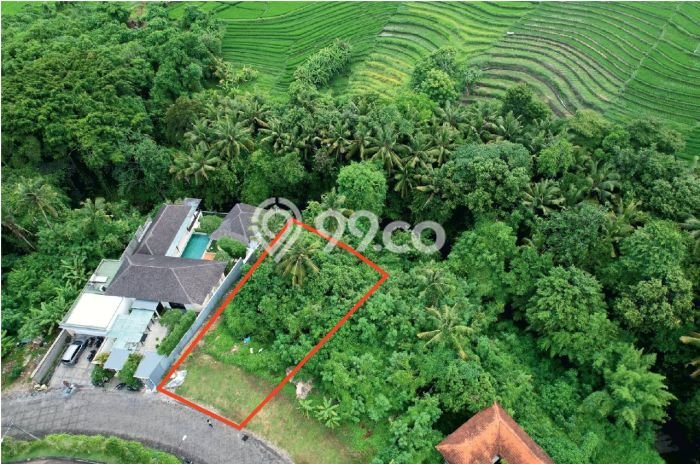 Kavling Tanah untuk Dijual di Canggu, Badung, Luas 930m2 Kavling Tanah untuk Dijual di Canggu, Badung, Luas 930m2