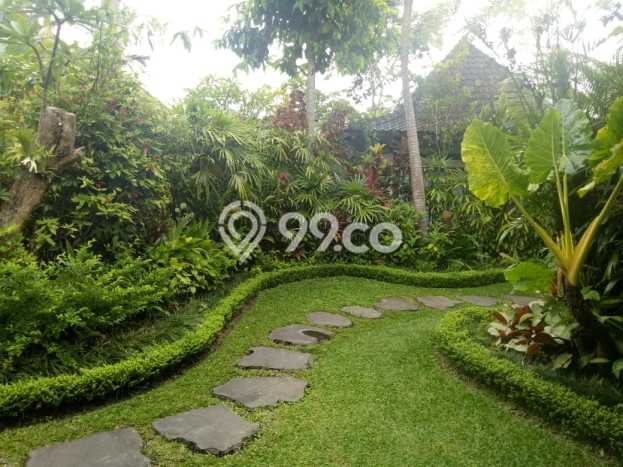 Hunian Apartemen Mewah & Prestisius 36 Kamar di Ubud, Gianyar Hunian Apartemen Mewah & Prestisius 36 Kamar di Ubud, Gianyar