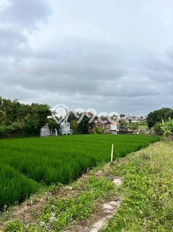 Tanah Dijual di Badung Seluas 758m2 Strategis Tanah Dijual di Badung Seluas 758m2 Strategis