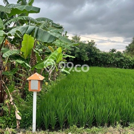 Tanah Dijual di Badung Seluas 758m2 Strategis Tanah Dijual di Badung Seluas 758m2 Strategis