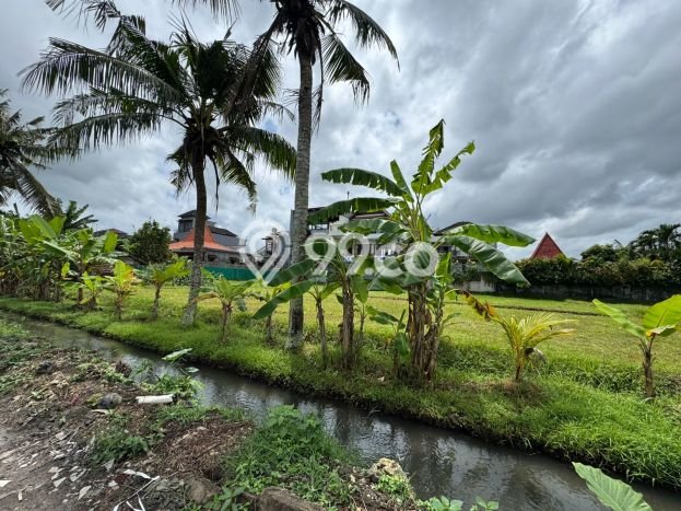 Dijual Tanah di Beraban, Luas 800m², Lokasi Potensial Dijual Tanah di Beraban, Luas 800m², Lokasi Potensial