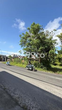 Dijual Tanah di Badung, Luas 365m2 SHM Dijual Tanah di Badung, Luas 365m2 SHM