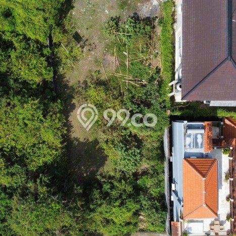 Tanah Kavling Dijual di Badung dengan Spesifikasi 600m2 Tanah Kavling Dijual di Badung dengan Spesifikasi 600m2