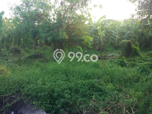 Tanah Kavling Dijual di Munggu, Badung dengan Luas Tanah 800m2 Tanah Kavling Dijual di Munggu, Badung dengan Luas Tanah 800m2