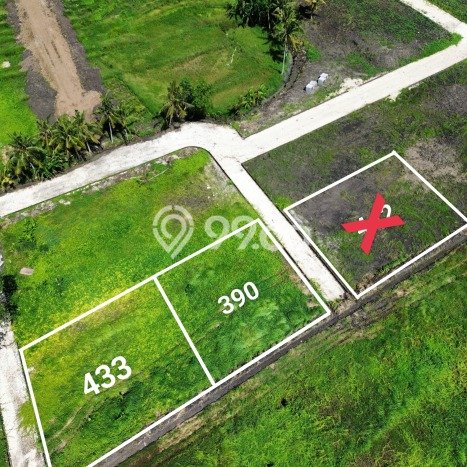 Kavling Tanah untuk Dijual di Kedungu, Tabanan, Luas 390m2 Kavling Tanah untuk Dijual di Kedungu, Tabanan, Luas 390m2
