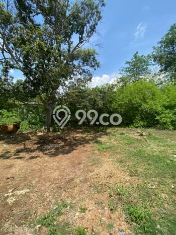 Tanah Kavling Dijual di Badung dengan Spesifikasi 3080m2 Tanah Kavling Dijual di Badung dengan Spesifikasi 3080m2