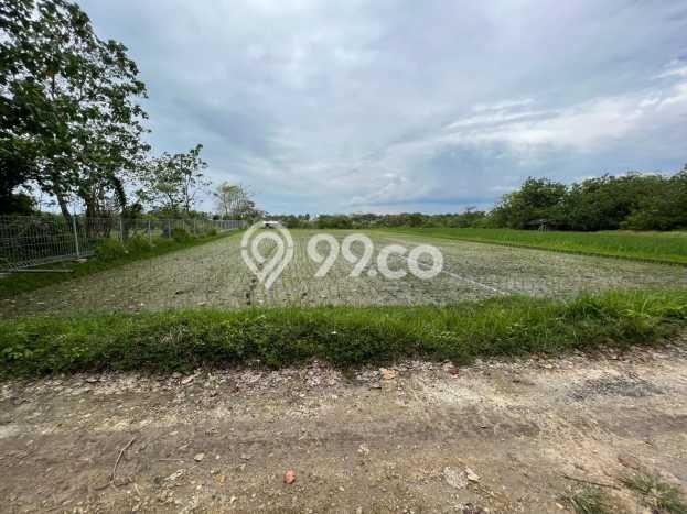 Tanah Dijual di Badung Seluas 3310m2 Strategis Tanah Dijual di Badung Seluas 3310m2 Strategis