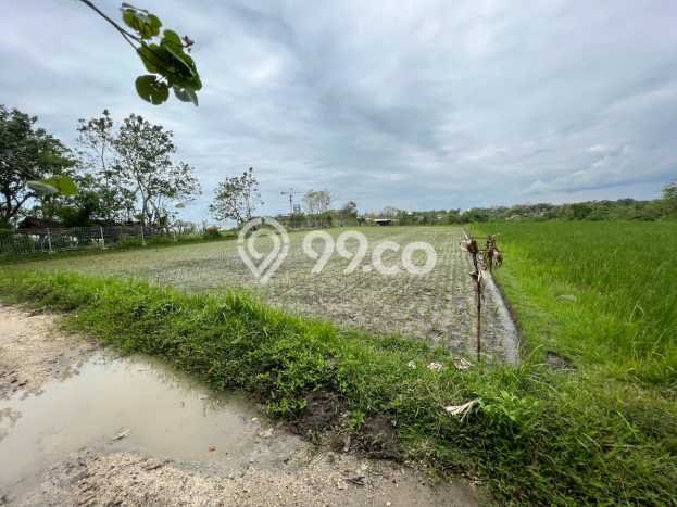 Tanah Dijual di Badung Seluas 3310m2 Strategis Tanah Dijual di Badung Seluas 3310m2 Strategis