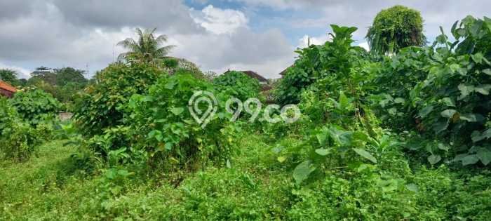 Tanah di Ubud, Gianyar Luas 810m2 Dijual Segera Tanah di Ubud, Gianyar Luas 810m2 Dijual Segera