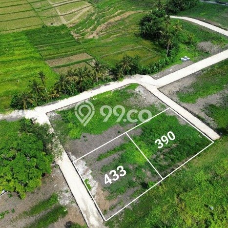 Kavling Tanah untuk Dijual di Kedungu, Tabanan, Luas 390m2 Kavling Tanah untuk Dijual di Kedungu, Tabanan, Luas 390m2