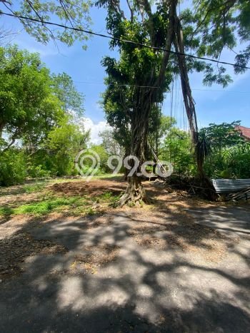 Tanah Kavling Dijual di Badung dengan Spesifikasi 3080m2 Tanah Kavling Dijual di Badung dengan Spesifikasi 3080m2