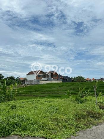 Kavling Tanah untuk Dijual di Kedungu, Tabanan, Luas 390m2 Kavling Tanah untuk Dijual di Kedungu, Tabanan, Luas 390m2