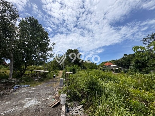 Kavling Tanah untuk Disewa di Pecatu Lahan Luas 1900m2 Kavling Tanah untuk Disewa di Pecatu Lahan Luas 1900m2