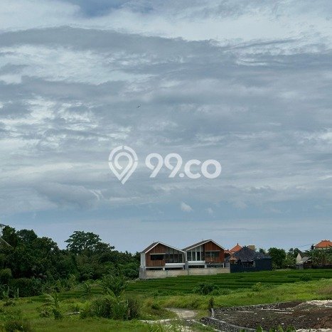 Kavling Tanah untuk Dijual di Kedungu, Tabanan, Luas 390m2 Kavling Tanah untuk Dijual di Kedungu, Tabanan, Luas 390m2