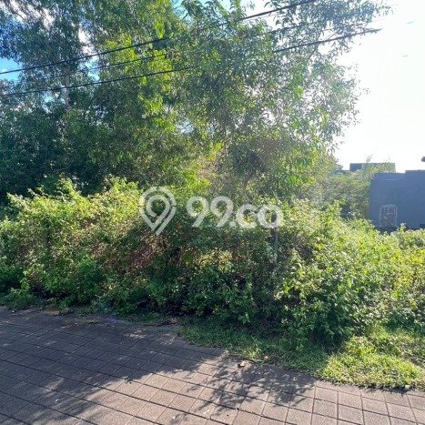Tanah Kavling Dijual di Badung dengan Spesifikasi 477m2 Tanah Kavling Dijual di Badung dengan Spesifikasi 477m2