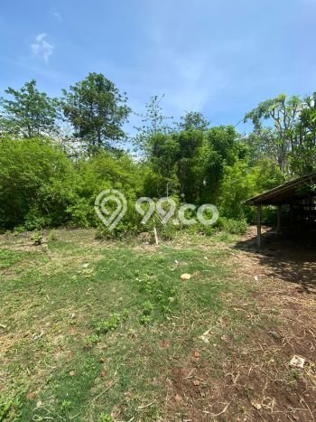Tanah Kavling Dijual di Badung dengan Spesifikasi 3080m2 Tanah Kavling Dijual di Badung dengan Spesifikasi 3080m2