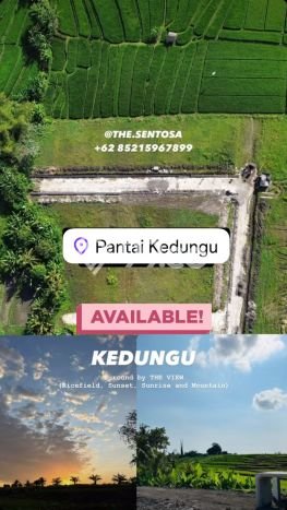 Kavling Tanah untuk Dijual di Kedungu, Tabanan, Luas 390m2 Kavling Tanah untuk Dijual di Kedungu, Tabanan, Luas 390m2