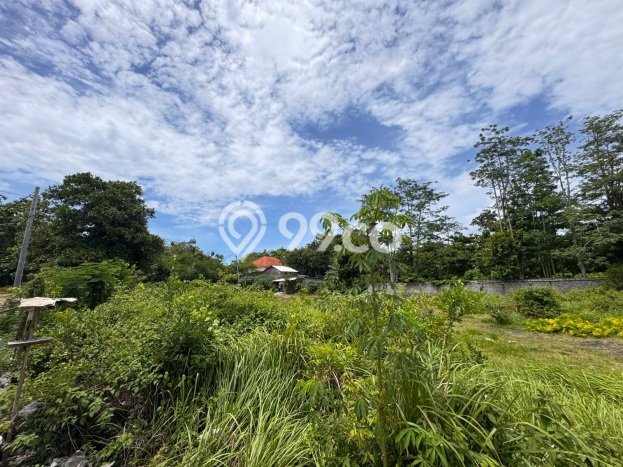 Kavling Tanah untuk Disewa di Pecatu Lahan Luas 1900m2 Kavling Tanah untuk Disewa di Pecatu Lahan Luas 1900m2