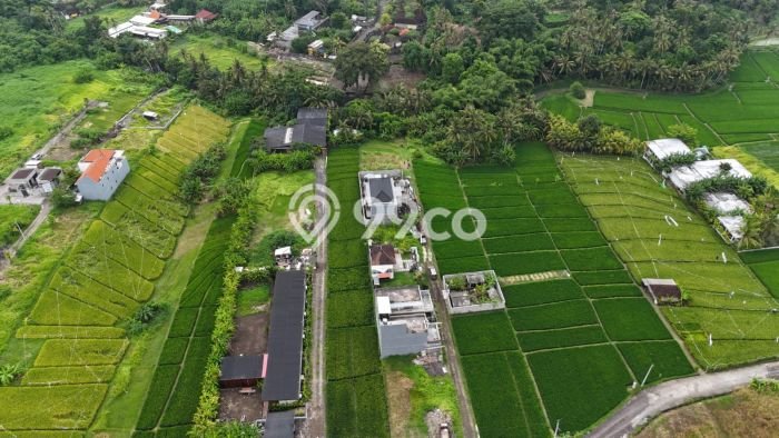 Dijual Tanah Lokasi Kedungu, Tabanan Seluas 470m2 Dijual Tanah Lokasi Kedungu, Tabanan Seluas 470m2