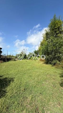 Dijual Tanah di Badung, Luas 365m2 SHM Dijual Tanah di Badung, Luas 365m2 SHM