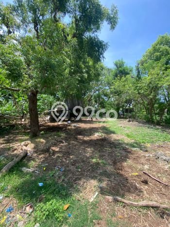 Tanah Kavling Dijual di Badung dengan Spesifikasi 3080m2 Tanah Kavling Dijual di Badung dengan Spesifikasi 3080m2