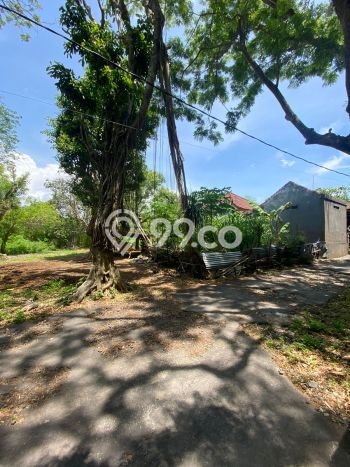 Tanah Kavling Dijual di Badung dengan Spesifikasi 3080m2 Tanah Kavling Dijual di Badung dengan Spesifikasi 3080m2