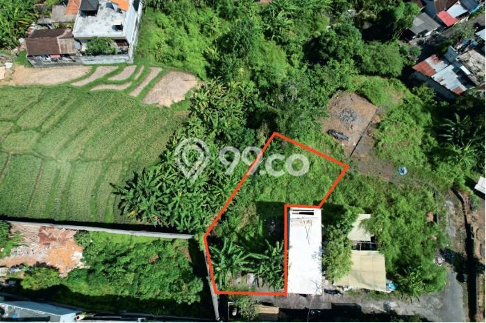 Lahan Kosong Dijual di Badung dengan Area 250m2 Lahan Kosong Dijual di Badung dengan Area 250m2