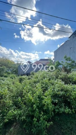 Tanah Kavling Dijual di Badung dengan Spesifikasi 477m2 Tanah Kavling Dijual di Badung dengan Spesifikasi 477m2