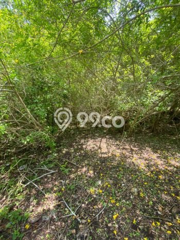 Tanah Kavling Dijual di Badung dengan Spesifikasi 3080m2 Tanah Kavling Dijual di Badung dengan Spesifikasi 3080m2