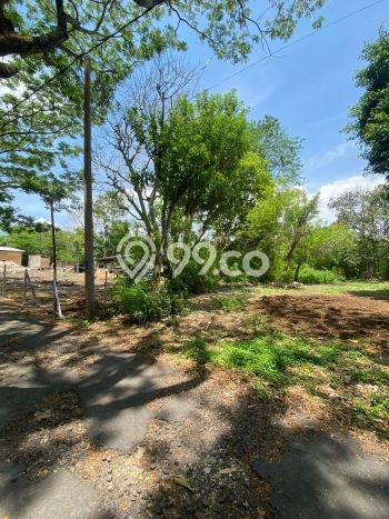 Tanah Kavling Dijual di Badung dengan Spesifikasi 3080m2 Tanah Kavling Dijual di Badung dengan Spesifikasi 3080m2
