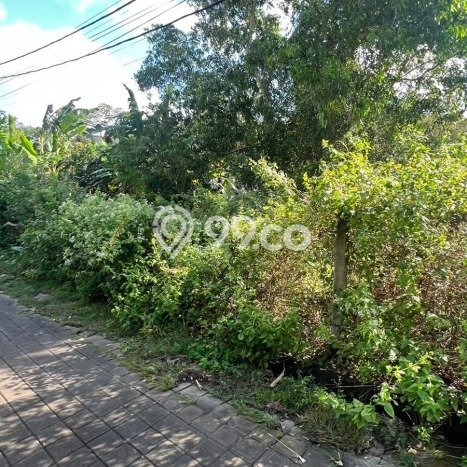 Tanah Kavling Dijual di Badung dengan Spesifikasi 477m2 Tanah Kavling Dijual di Badung dengan Spesifikasi 477m2