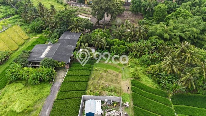 Dijual Tanah Lokasi Kedungu, Tabanan Seluas 470m2 Dijual Tanah Lokasi Kedungu, Tabanan Seluas 470m2
