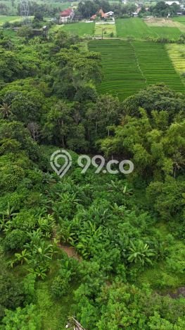 Dijual Tanah Lokasi Kedungu, Tabanan Seluas 470m2 Dijual Tanah Lokasi Kedungu, Tabanan Seluas 470m2