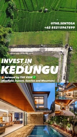 Kavling Tanah untuk Dijual di Kedungu, Tabanan, Luas 390m2 Kavling Tanah untuk Dijual di Kedungu, Tabanan, Luas 390m2