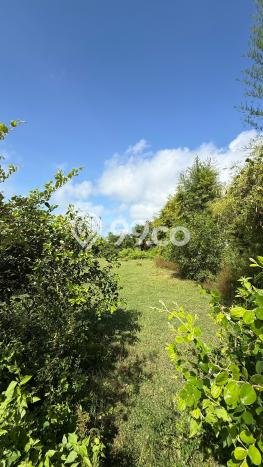 Dijual Tanah di Badung, Luas 365m2 SHM Dijual Tanah di Badung, Luas 365m2 SHM