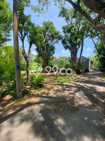 Tanah Kavling Dijual di Badung dengan Spesifikasi 3080m2 Tanah Kavling Dijual di Badung dengan Spesifikasi 3080m2