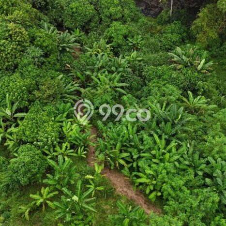 Dijual Tanah Lokasi Kedungu, Tabanan Seluas 470m2 Dijual Tanah Lokasi Kedungu, Tabanan Seluas 470m2