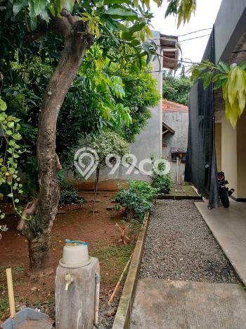 Jual Rumah Mewah Elegan Dengan View Cantik di Cipinang, Jakarta Timur Jual Rumah Mewah Elegan Dengan View Cantik di Cipinang, Jakarta Timur