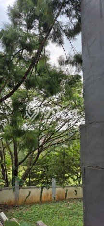 For Sale! Premium House LT 442m2 Desain Elegan di Sentul City For Sale! Premium House LT 442m2 Desain Elegan di Sentul City