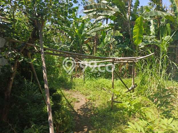 Tanah Kosong Dijual di Purworejo dengan Area 3619m2 Tanah Kosong Dijual di Purworejo dengan Area 3619m2