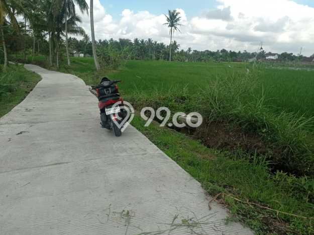 Tanah untuk Dijual Lokasi Cangkringan, Sleman Luas 9622m2 SHM Tanah untuk Dijual Lokasi Cangkringan, Sleman Luas 9622m2 SHM